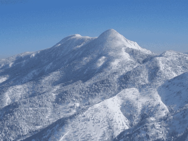 合拢试管理方法，泰国试管费用可在恒嘉国际V选